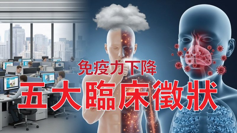 辦公室內長期工作壓力過大嘅香港上班族，旁邊人體示意圖出現雲狀壓力、疲勞、反覆感冒和咳嗽等免疫力下降五大臨床徵狀
