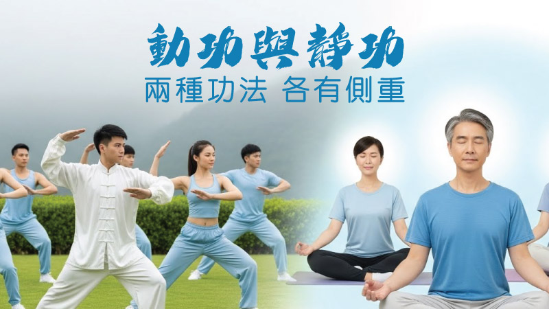 一群不同年齡的人在戶外草地上練氣功與太極，左側做動功、右側盤坐打坐靜功，背景為山景與藍天。