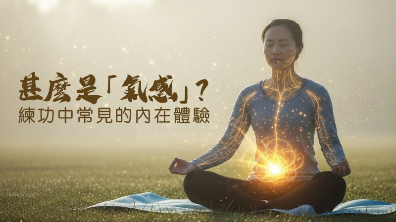 一位坐在草地上的人盤腿打坐練靜功，身體上以光效展示氣感與經絡流動，背景為柔和日出與霧氣。